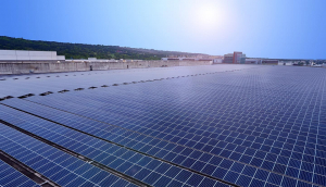 中美硅晶與金世豪光電攜手戰(zhàn)略合作