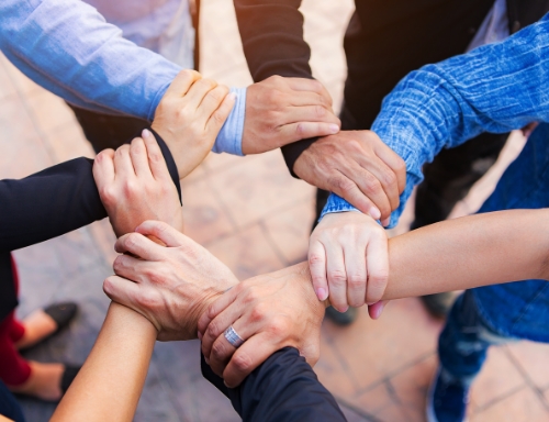 成為金世豪的一份子