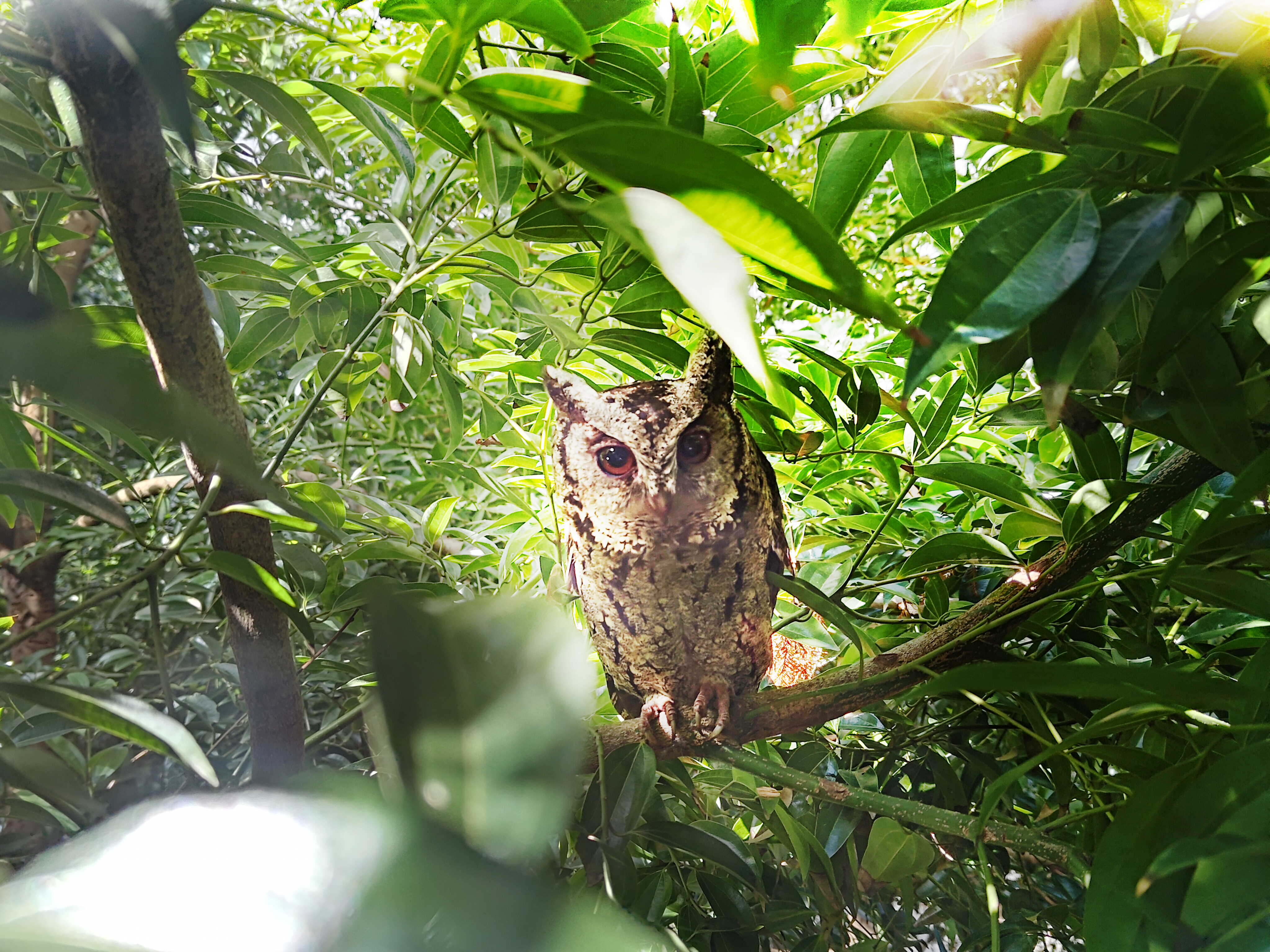 金世豪致力提倡凈零綠生活，16年以來在全球各廠區(qū)植樹逾百萬棵，造就各廠區(qū)樹木蔚然成林，猶如森林工廠，成為許多生物的棲息地
