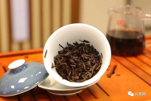 再給一次機會，茶葉店升級之道 倉儲服務轉型策略