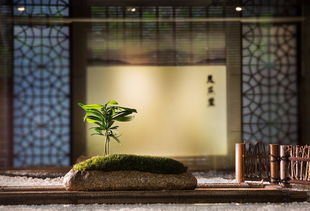 揚州精品茶葉店裝修與茶樓設計裝潢——盡在揚州宏鉅茶館服務