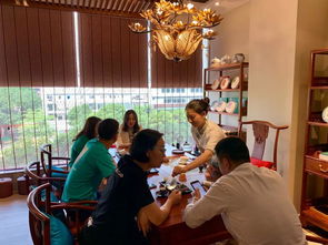 燕語茶館品鑒中心試業 以茶會友，共赴一場東方美學的時光之約